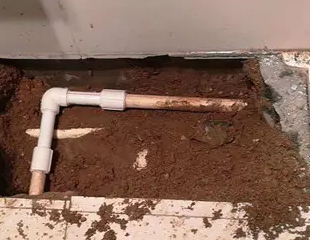 潜江测漏水哪家好