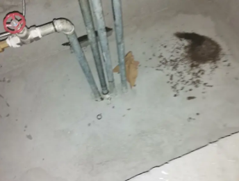 潜江卫生间测漏水价格明细